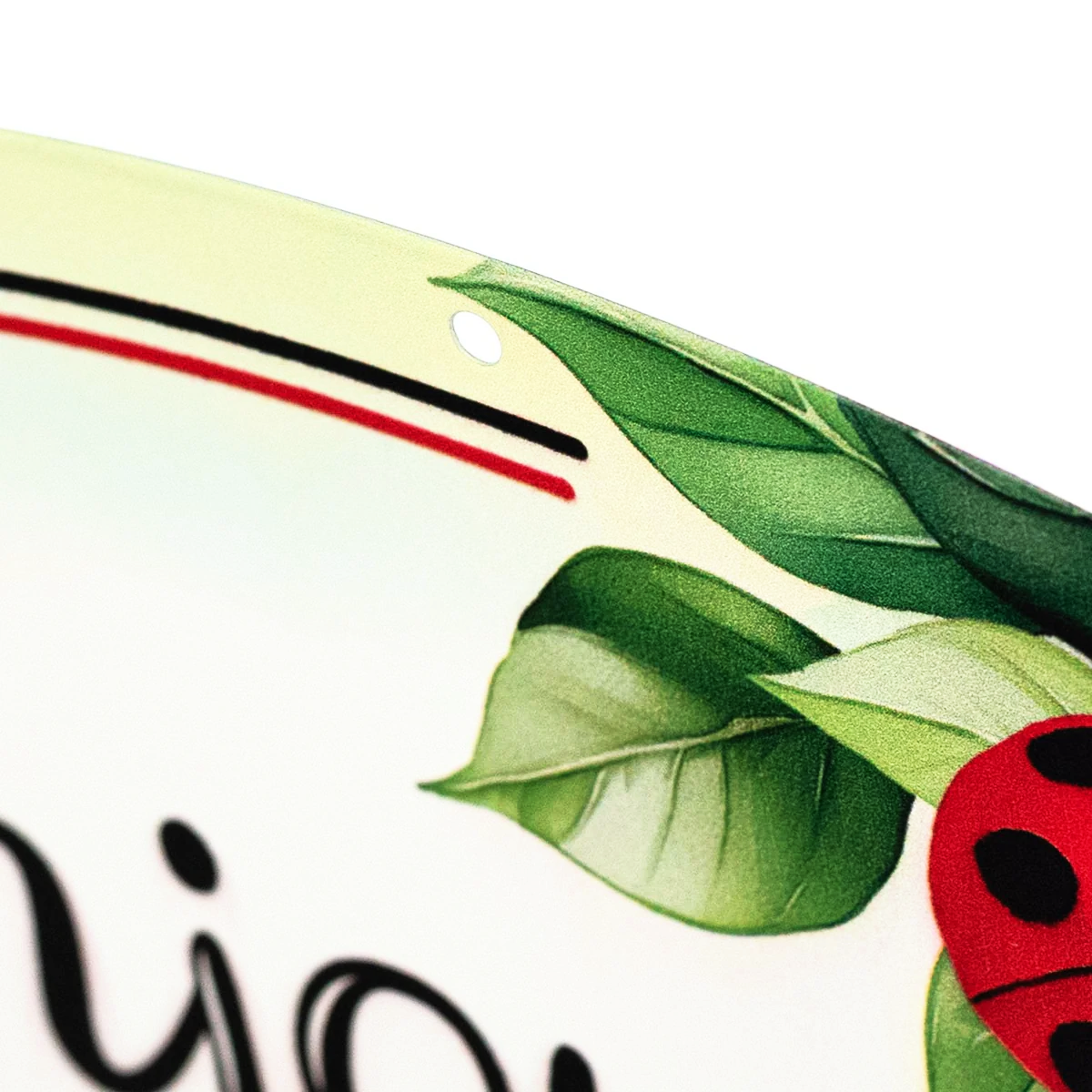 15" Oval Metal Sign: Ladybug Little Things