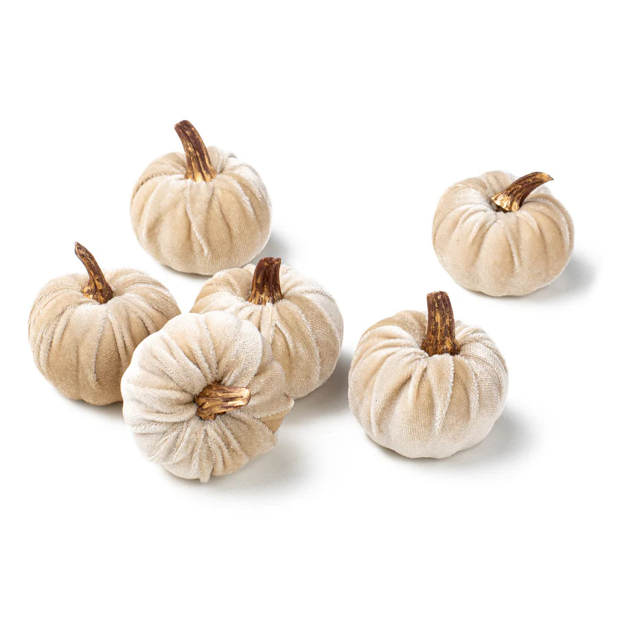 2" Velvet Foam Pumpkins: Champagne (Set of 6) - Sugar Pink Boutique