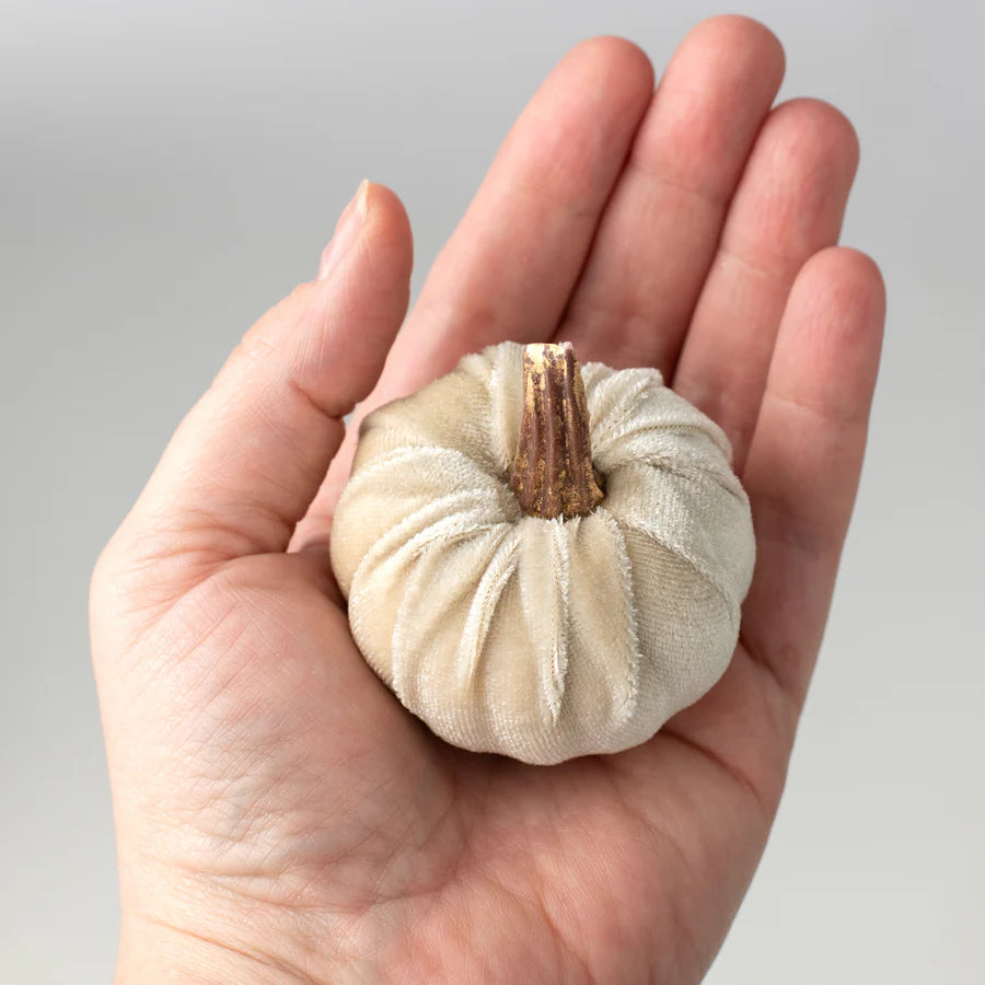 2" Velvet Foam Pumpkins: Champagne (Set of 6) - Sugar Pink Boutique