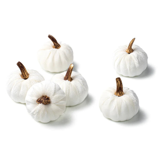 2" Velvet Foam Pumpkins: White (Set of 6) - Sugar Pink Boutique