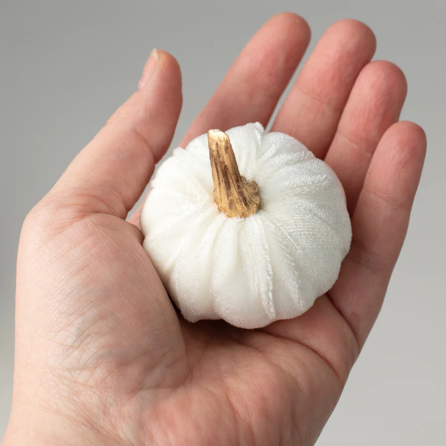 2" Velvet Foam Pumpkins: White (Set of 6) - Sugar Pink Boutique