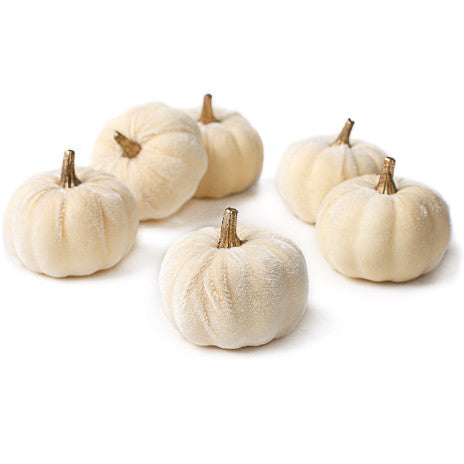 3" Velvet Foam Pumpkins: Cream - (Set of 6 Pumpkins)