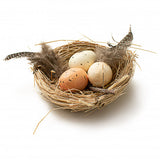 4" Feathered Bird Nest