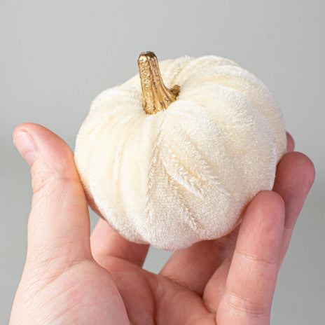 3" Velvet Foam Pumpkins: Cream - (Set of 6 Pumpkins)