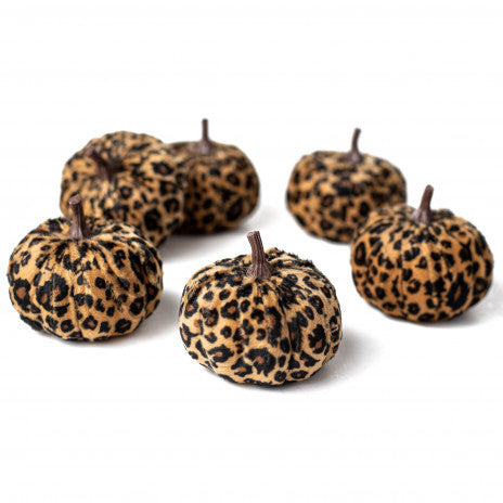 3" Fabric Furry Pumpkins: Cheetah (Set of 6)