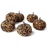 3" Fabric Furry Pumpkins: Cheetah (Set of 6 Pumpkins)