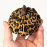 3" Fabric Furry Pumpkins: Cheetah (Set of 6 Pumpkins)