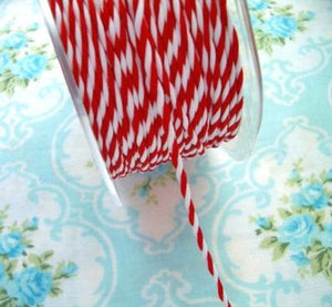Candy Cane Red and White Twisted Rope Twine - 1/16" - 1 Yard